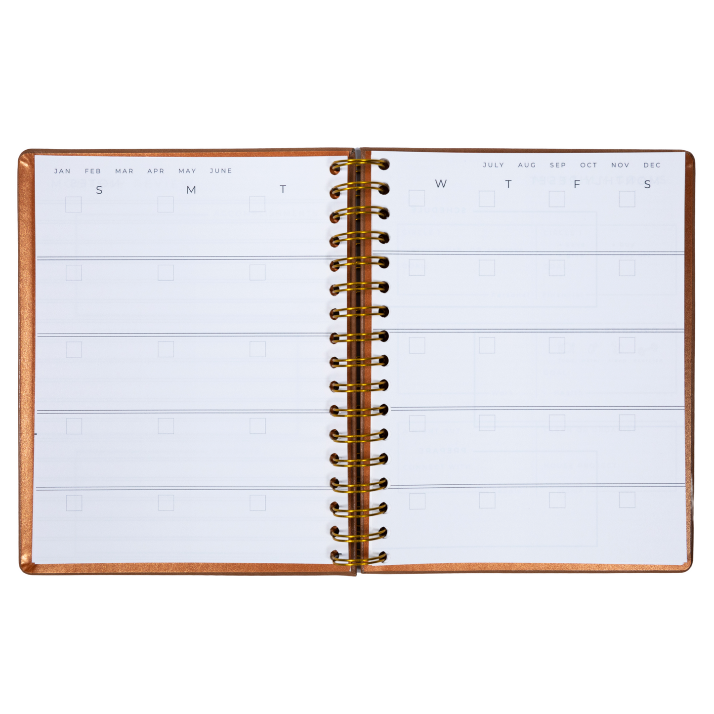 6-Month Undated Intentional Planner