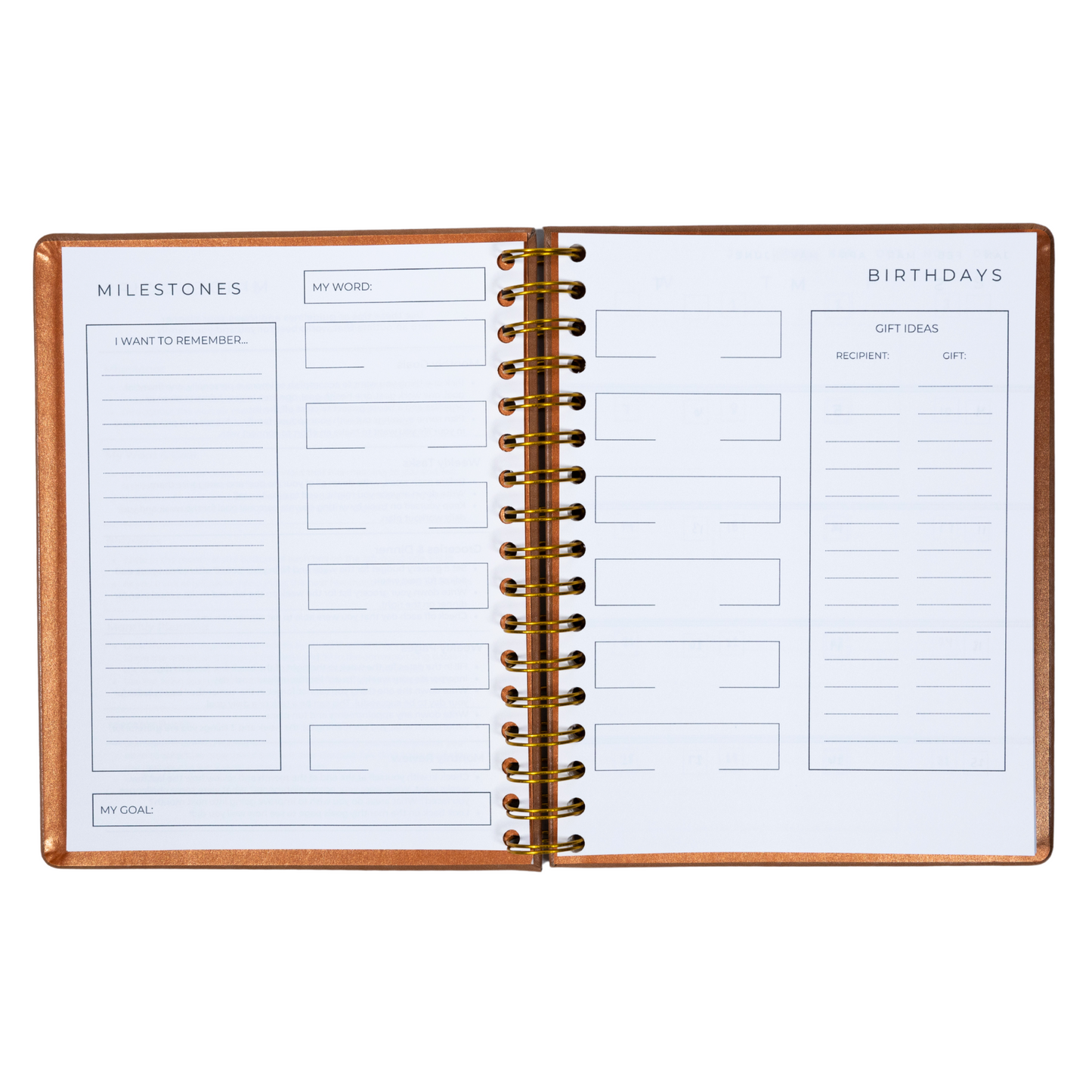 6-Month Undated Intentional Planner