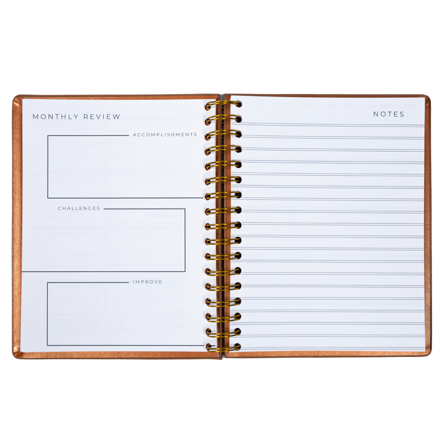 6-Month Undated Intentional Planner
