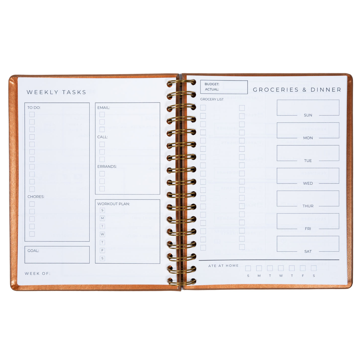 6-Month Undated Intentional Planner