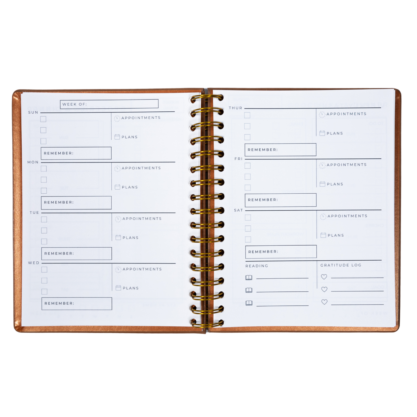 6-Month Undated Intentional Planner