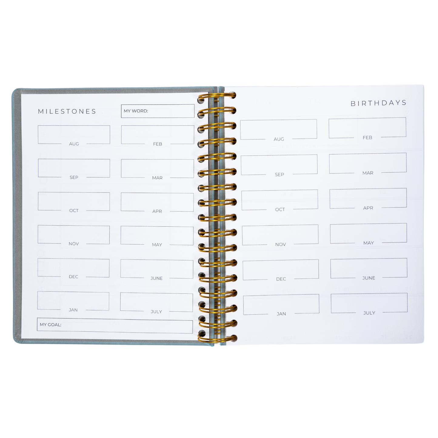 2025 Intentional Planner